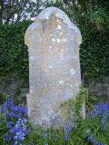 image of grave number 41819